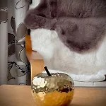 Appartement Cozy Avec Garage En Bord De Mer!