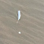 Appartement Cozy Avec Garage En Bord De Mer!