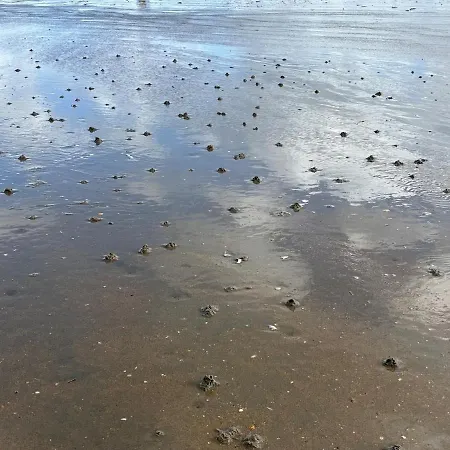 Appartement Cozy Avec Garage En Bord De Mer!