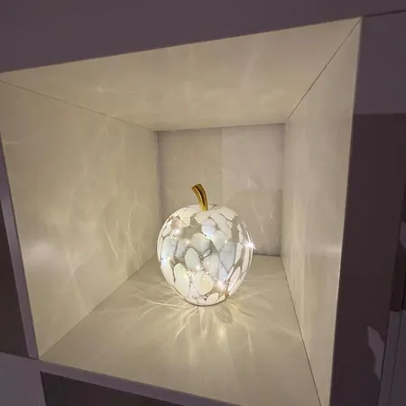 Cozy Avec Garage En Bord De Mer! De Panne